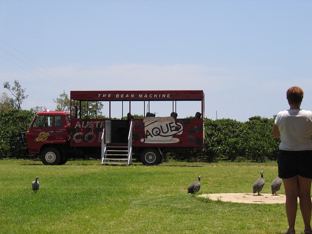 CairnsTC098 Jaques Coffee.jpg